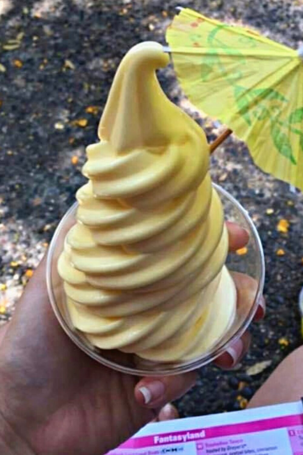 A serving of Disneyland Dole Whip