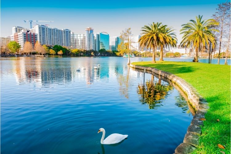 Orlando, view of lake and a goose in the water with city in the back