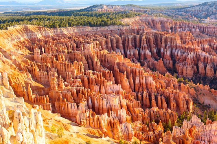 bryce canyon: a popular road trip from seattle
