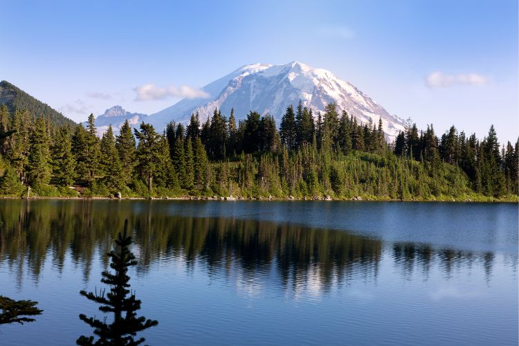 mount rainier is one of the best places to visit in washington state