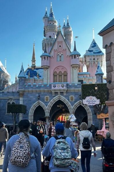 Disneyland park crowded