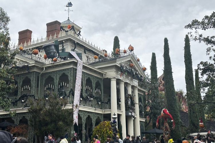 disneyland morning guest lining up for haunted mansion