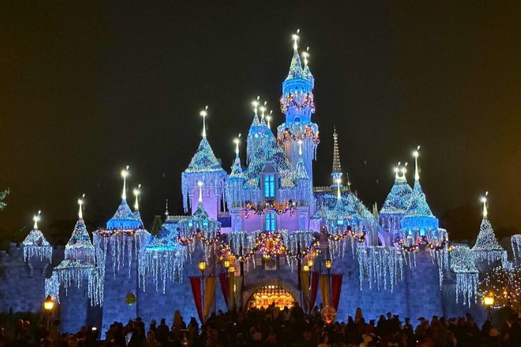 Disneyland castle at night