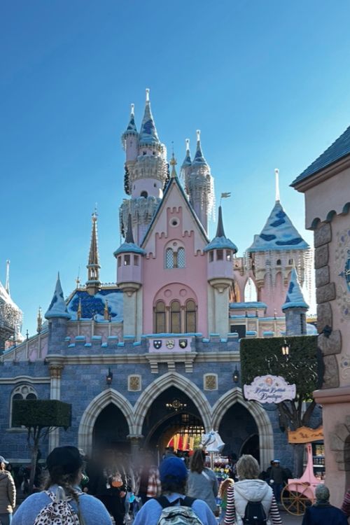 Sleeping Beauty castle
