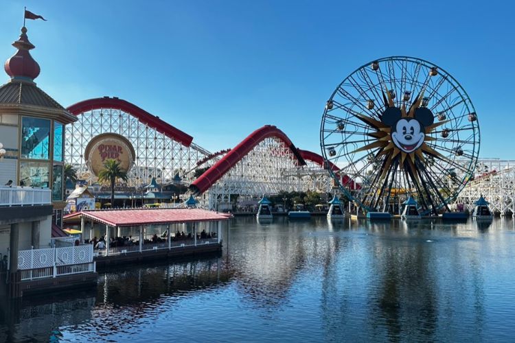 Disney California ADventure Park is great for adults