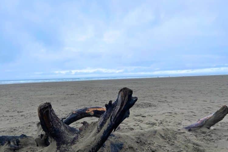 A great day trip from Seattle is seaside beach