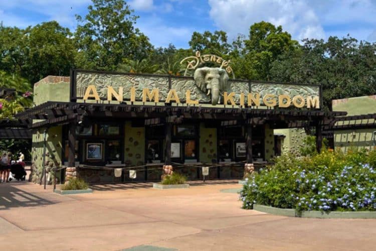 Disney's Animal Kingdom Park Entrance