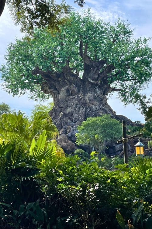 Disney's Animal Kingdom Park - Tree of Life