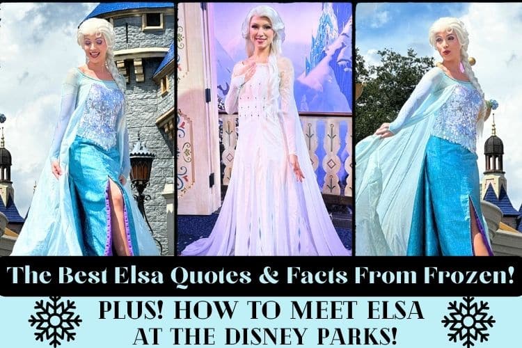 Elsa Quotes with Queen Elsa at Disney world