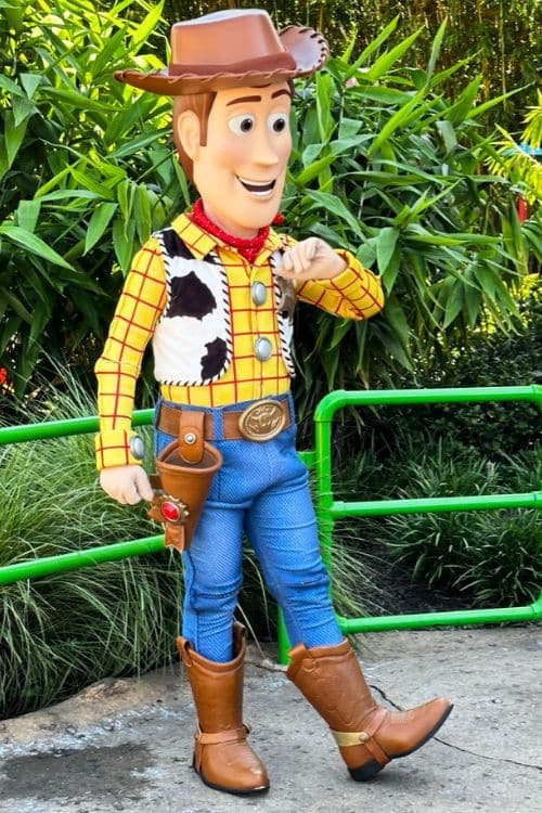 woody character meet and greet