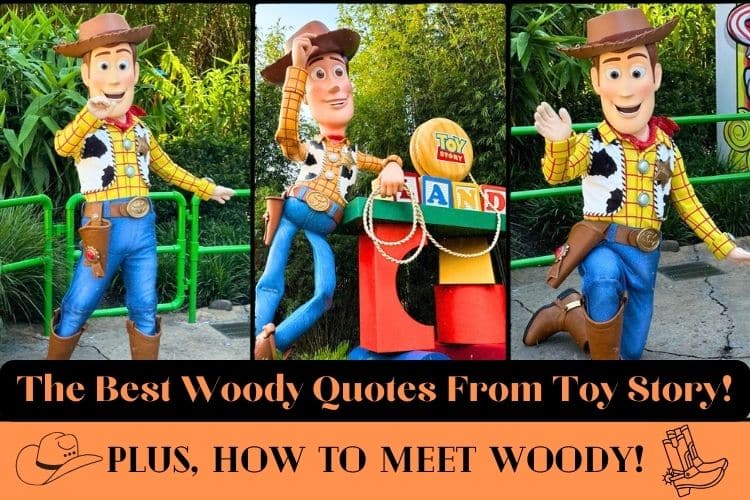 best woody quotes from toy story. different versions of woody at disney park.