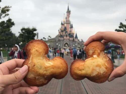 Disneyland paris castle and mickey madeleines
