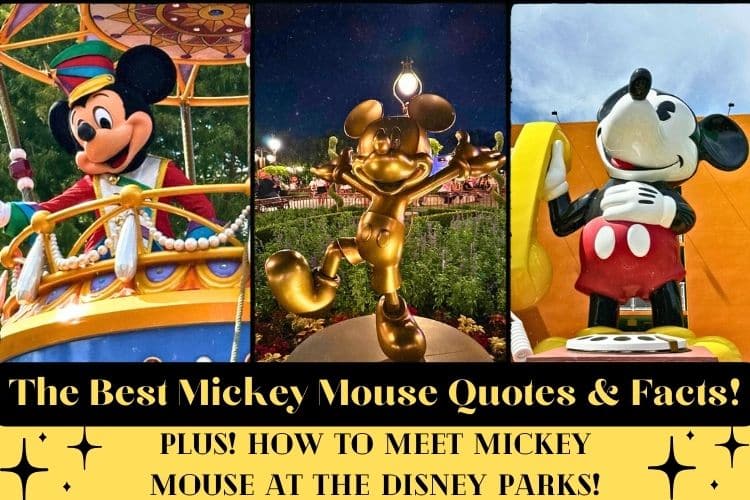 Mickey mouse quotes